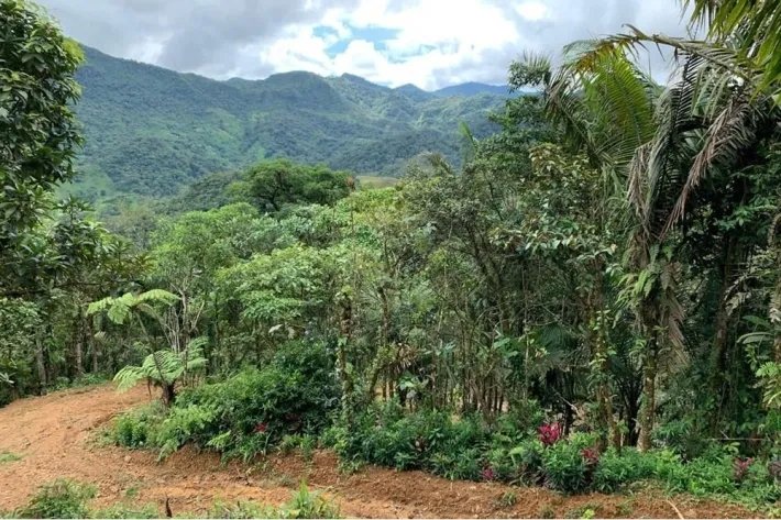 Terreno en venta en Altos del María, Sorá. La Mesa, cerca del Cerro Picacho