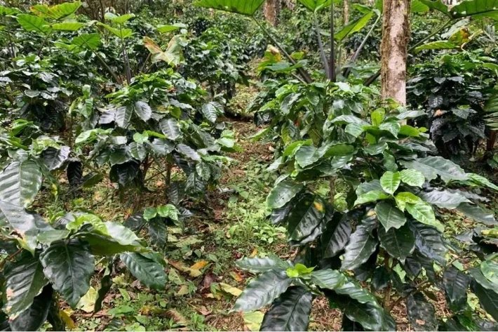Terreno en venta en Altos del María, Sorá. La Mesa, cerca del Cerro Picacho