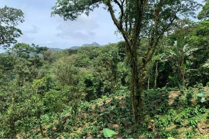 Terreno en venta en Altos del María, Sorá. La Mesa, cerca del Cerro Picacho
