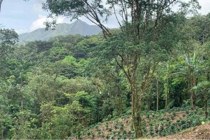 Terreno en venta en Altos del María, Sorá. La Mesa, cerca del Cerro Picacho