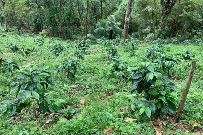 Terreno en venta en Altos del María, Sorá. La Mesa, cerca del Cerro Picacho