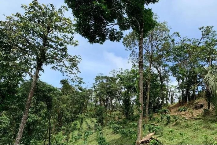 Terreno en venta en Altos del María, Sorá. La Mesa, cerca del Cerro Picacho