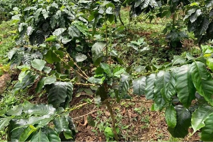 Terreno en venta en Altos del María, Sorá. La Mesa, cerca del Cerro Picacho