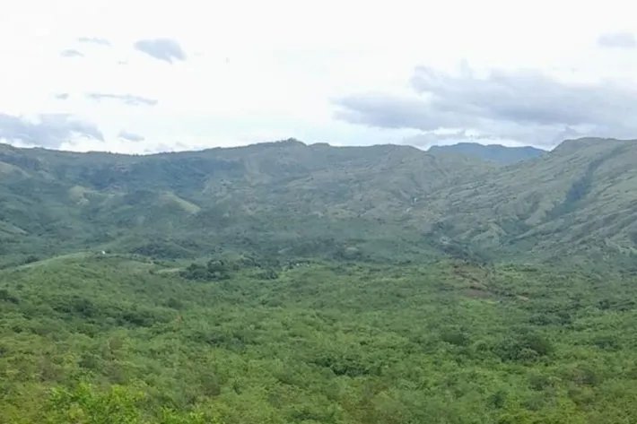 Farm for sale in Calobre, Veraguas, Panama; The farm has 31 titled hec...