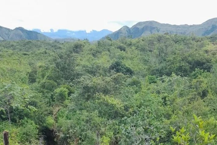 Farm for sale in Calobre, Veraguas, Panama; The farm has 31 titled hec...