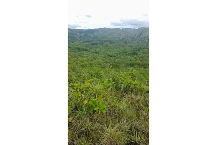 Farm for sale in Calobre, Veraguas, Panama; The farm has 31 titled hec...