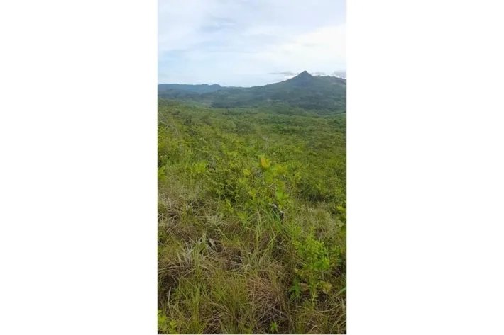 Farm for sale in Calobre, Veraguas, Panama; The farm has 31 titled hec...