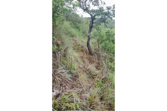 Se vende finca en Calobre, Veraguas; La finca tiene 31 hectáreas tituladas