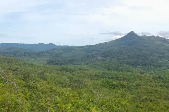 Se vende finca en Calobre, Veraguas; La finca tiene 31 hectáreas tituladas