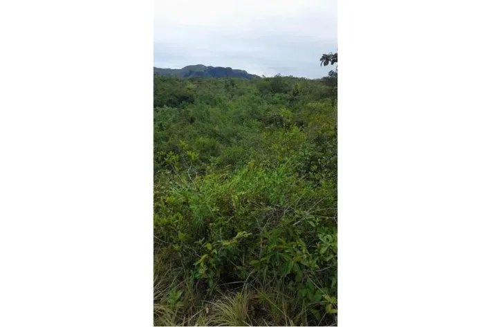 Se vende finca en Calobre, Veraguas; La finca tiene 31 hectáreas tituladas