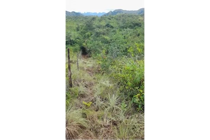 Se vende finca en Calobre, Veraguas; La finca tiene 31 hectáreas tituladas