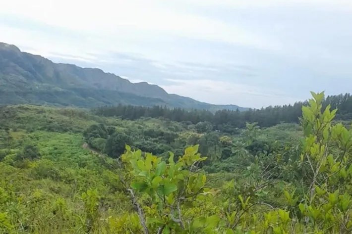 Se vende finca en Calobre, Veraguas; La finca tiene 31 hectáreas tituladas