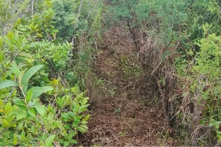 Se vende finca en Calobre, Veraguas; La finca tiene 31 hectáreas tituladas