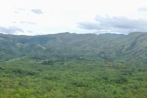 Se vende finca en Calobre, Veraguas; La ...