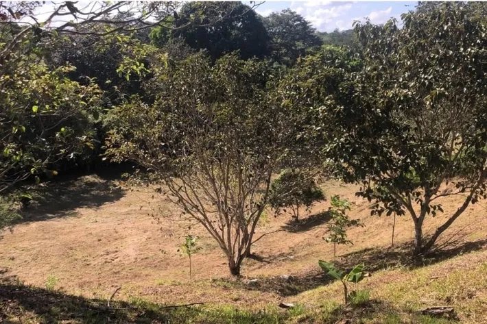 Se vende terreno en El Nazareno, La Chorrera