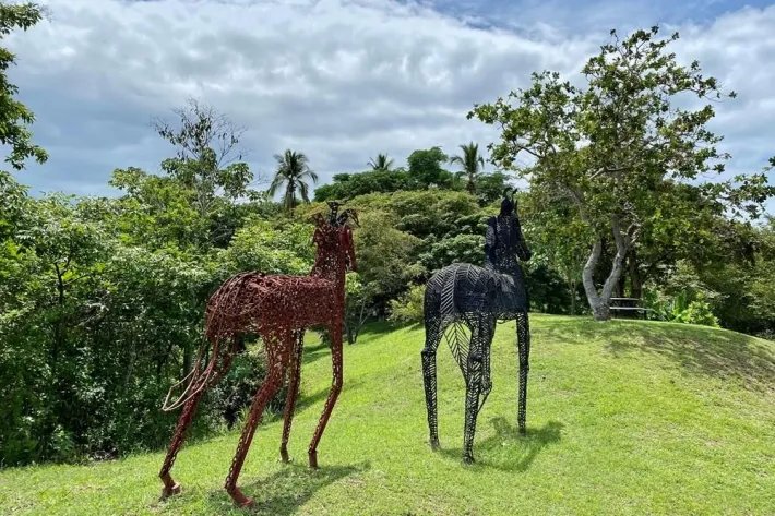 Se vende finca con cabañas en San Carlos