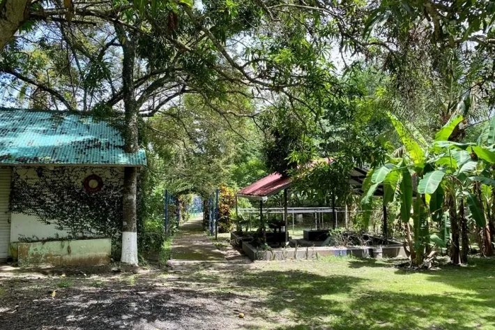 Se vende finca con cabañas en San Carlos