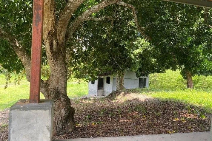 Venta de terreno en Bijao, al lado de Bijao Beach Resort, Cocle.