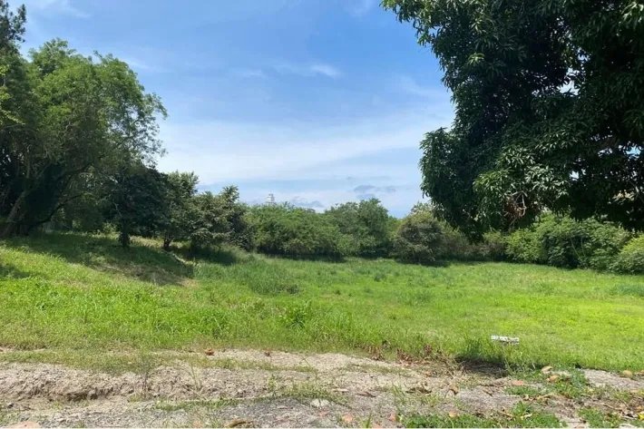 Venta de terreno en Bijao, al lado de Bijao Beach Resort, Cocle.