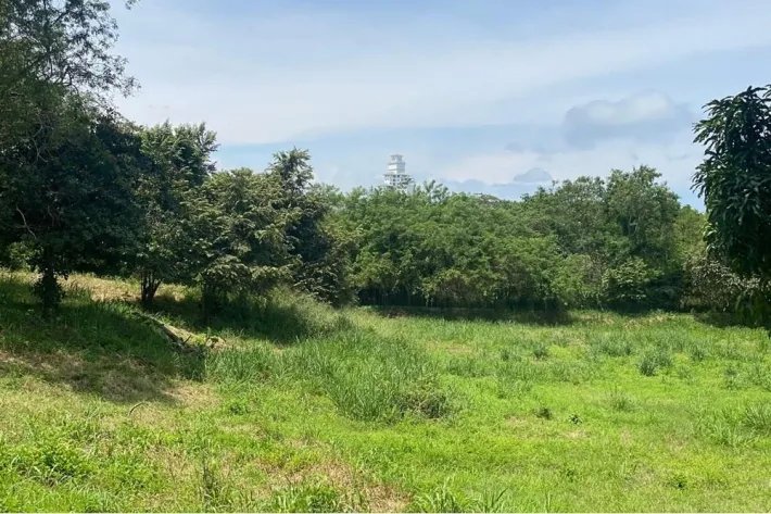 Venta de terreno en Bijao, al lado de Bijao Beach Resort, Cocle.