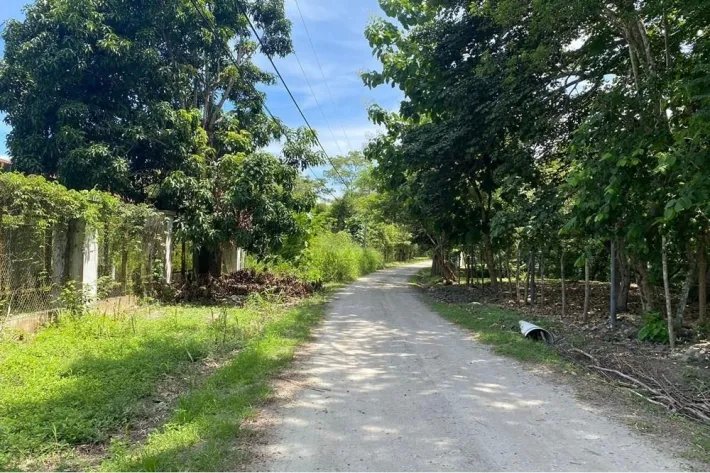 Venta de terreno en Bijao, al lado de Bijao Beach Resort, Cocle.