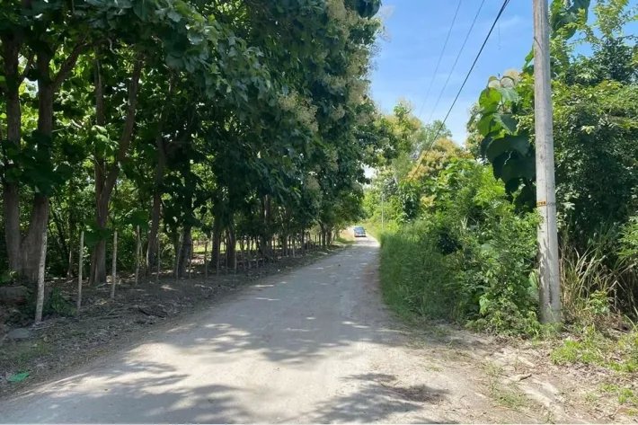 Venta de terreno en Bijao, al lado de Bijao Beach Resort, Cocle.