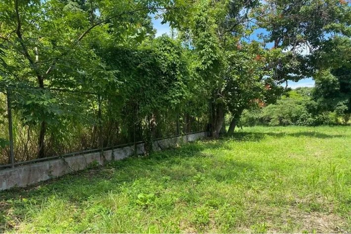 Venta de terreno en Bijao, al lado de Bijao Beach Resort, Cocle.