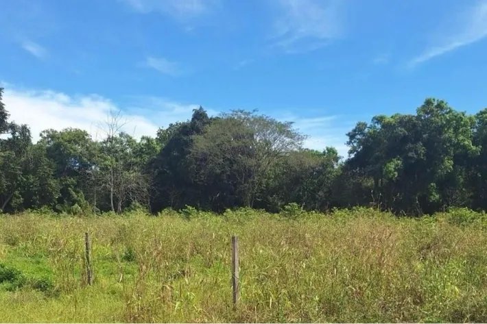 Land for Sale in David, Chiriquí