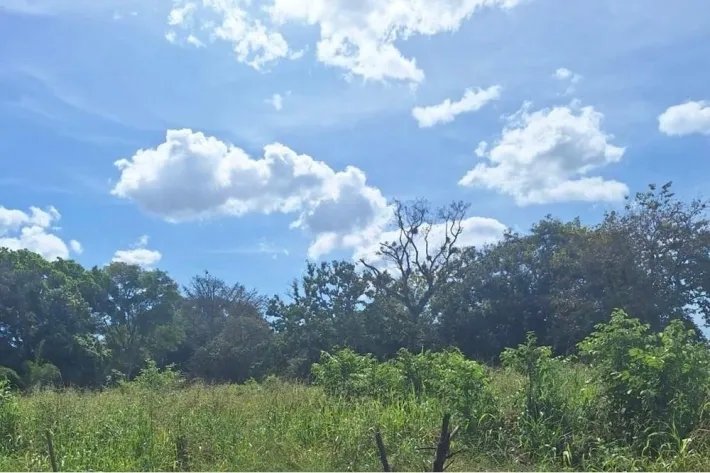 Land for Sale in David, Chiriquí