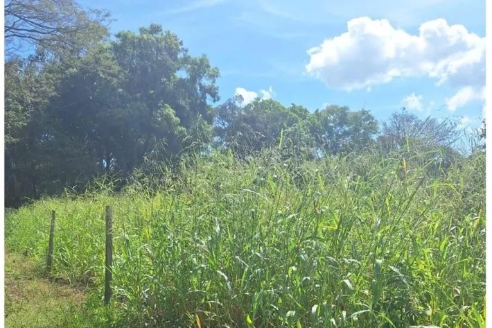Land for Sale in David, Chiriquí