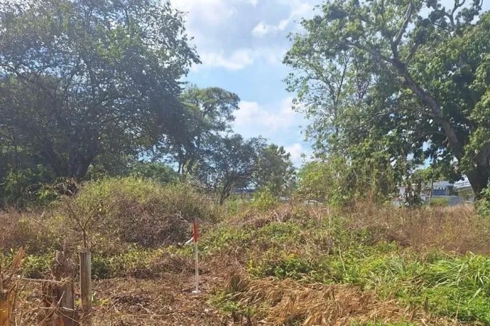 Venta de Terreno en David, Chiriquí