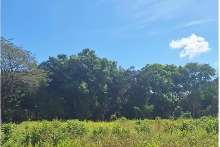 Venta de Terreno en David, Chiriquí