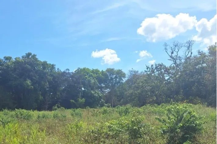 Venta de Terreno en David, Chiriquí