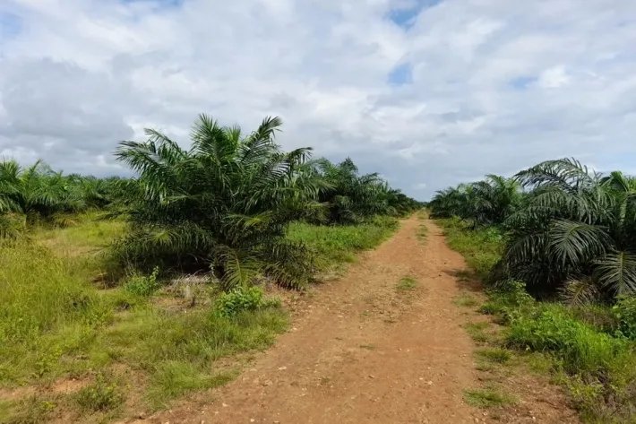 Venta de finca reposeída en Chiriquí