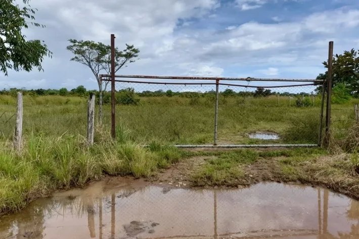 Venta de finca reposeída en Chiriquí