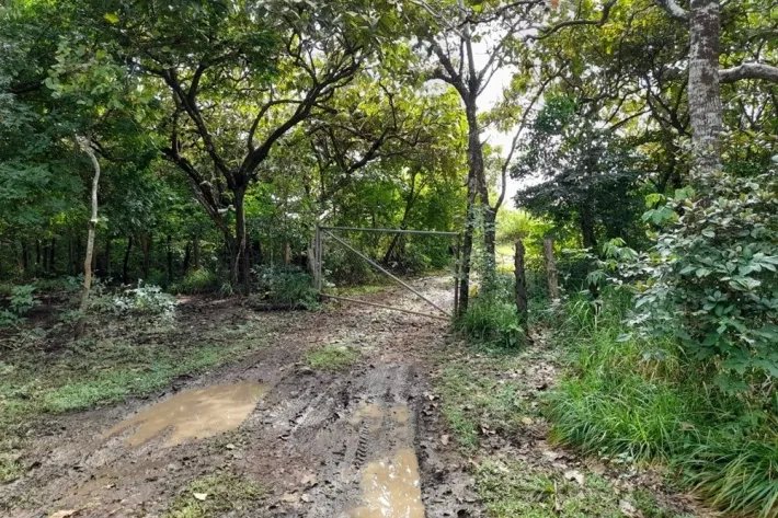 Venta de finca reposeída en Chiriquí