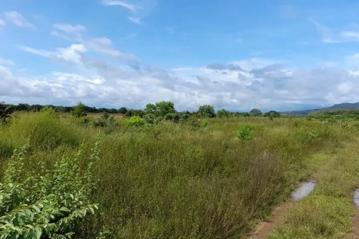 Repossessed farm for sale in Chiriqui