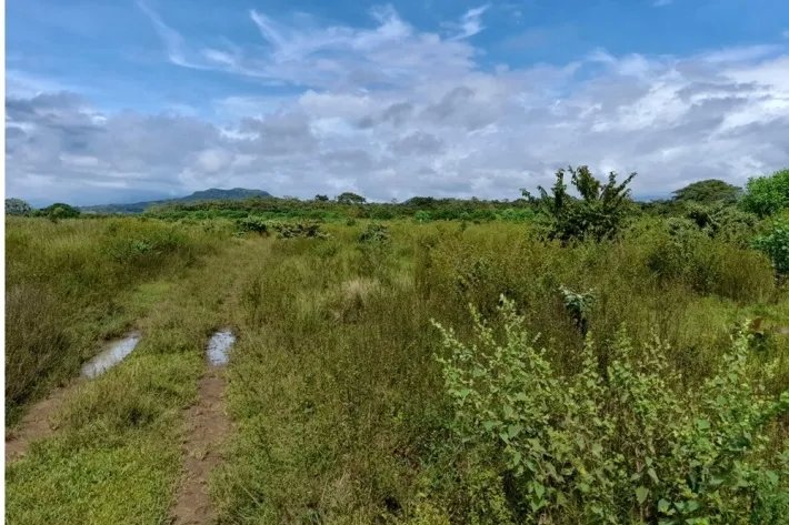 Repossessed farm for sale in Chiriqui