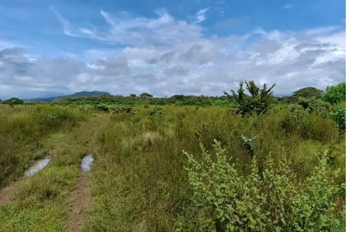 Venta de finca reposeída en San Lorenzo, Chiriquí