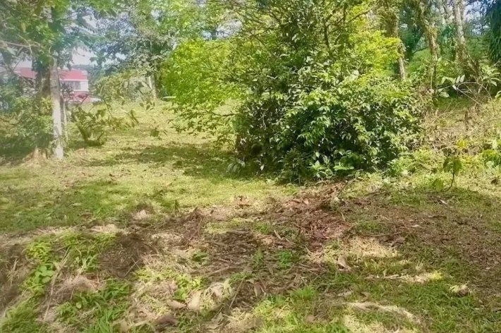 Venta de Lote 91, La Laguna, Altos del María, San Carlos