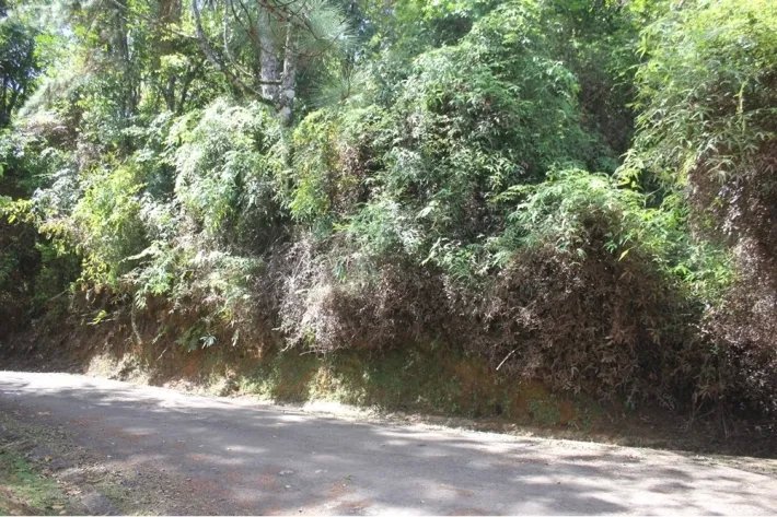 Venta de terreno en Altos de Cerro Azul, Panamá