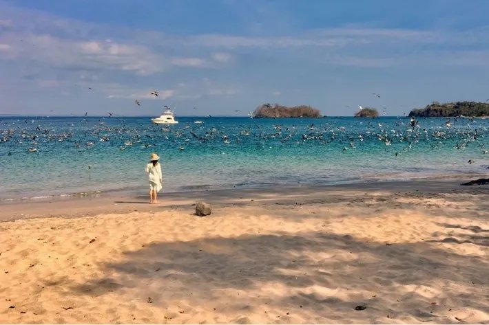 Land for sale in the Pacific Coast of Panama