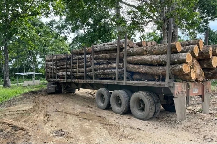 Terrenos en venta como inversión forestal para residencia permanente en Panamá