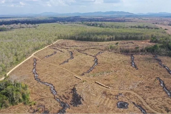 Terrenos en venta como inversión forestal para residencia permanente en Panamá