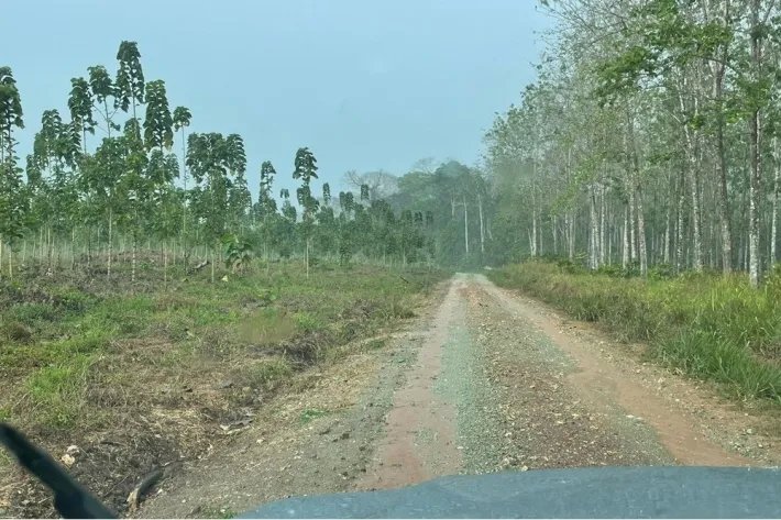 Terrenos en venta como inversión forestal para residencia permanente en Panamá