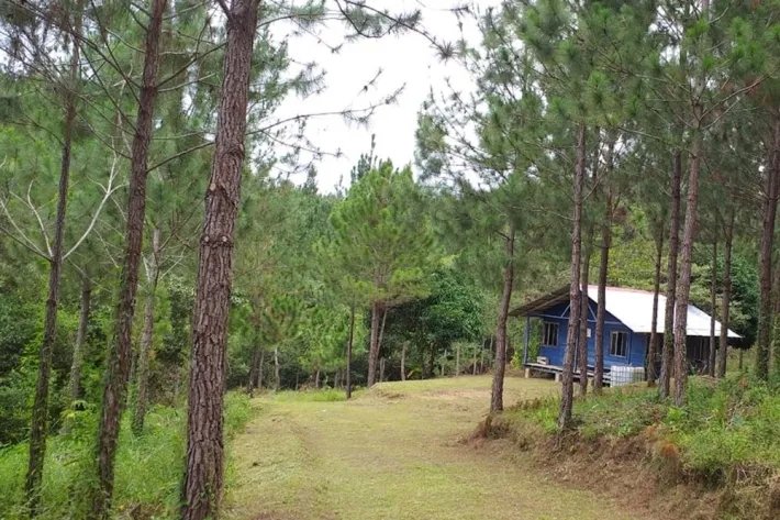 Terrenos en venta como inversión forestal para residencia permanente en Panamá