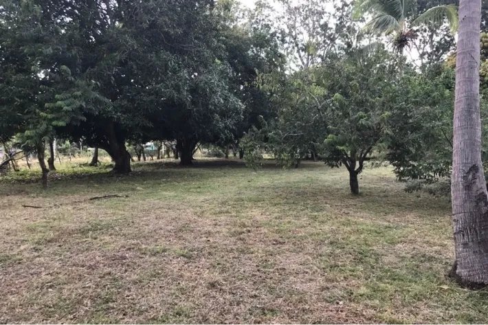 Se vende terreno plano, en Gorgona, Panamá Oeste