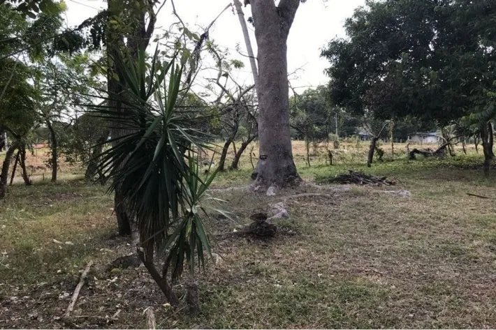 Se vende terreno plano, en Gorgona, Panamá Oeste