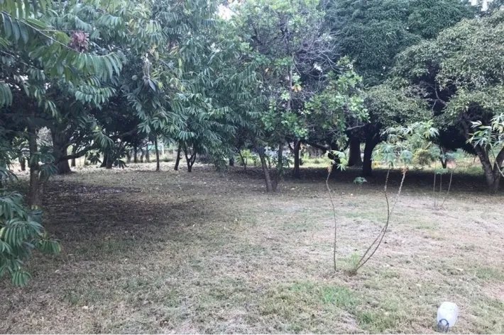 Se vende terreno plano, en Gorgona, Panamá Oeste