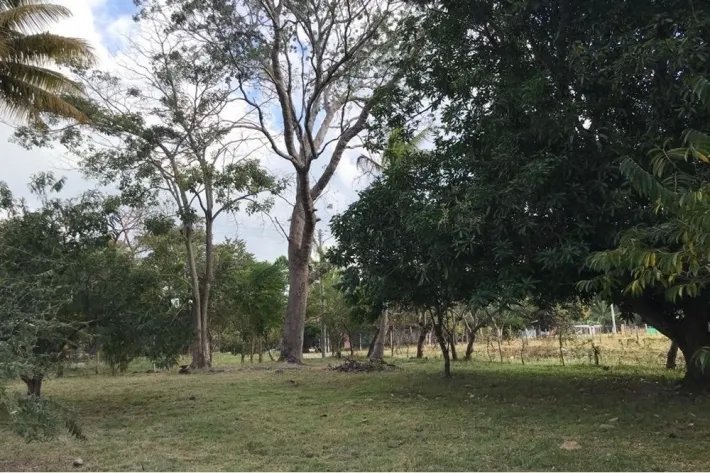 Se vende terreno plano, en Gorgona, Panamá Oeste